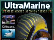 UltraMarine Magazine n.109 è arrivato!
