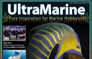 UltraMarine Magazine n.109 è arrivato!