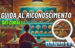 Guida al riconoscimento dei coralli: tutti i mercoledì su DaniReef