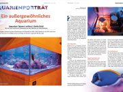 Lo spettacolare acquario di Guido e Tamara su Koralle 152