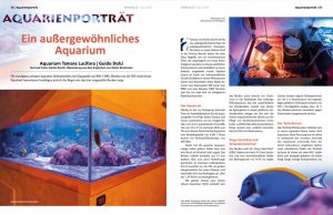 Lo spettacolare acquario di Guido e Tamara su Koralle 152