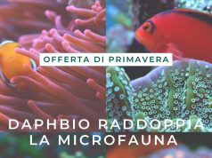 Offerta lampo Daphbio: Doppia MicroFauna in Ogni Ordine