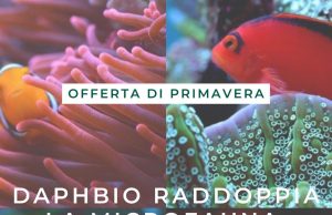 Offerta lampo Daphbio: Doppia MicroFauna in Ogni Ordine