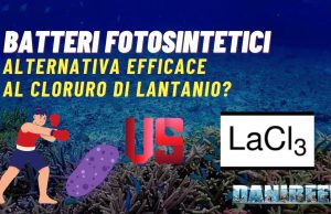 Batteri fotosintetici: alternativa efficace al cloruro di lantanio? batteri fotosintetici