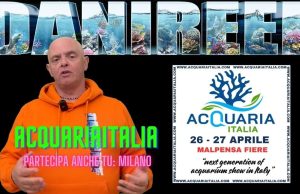 AcquariaItalia fiera per acquari – tutte le info a 2 settimane