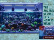 Lo spettacolare acquario di SPS di Jm_Reefer su Coral Magazine