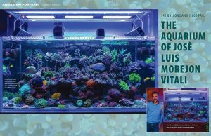 Lo spettacolare acquario di SPS di Jm_Reefer su Coral Magazine