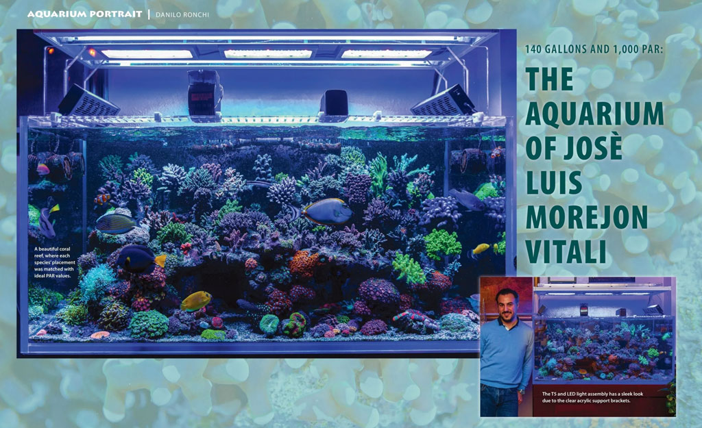 Lo spettacolare acquario di SPS di Jm_Reefer su Coral Magazine