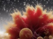 Il Burro di Arachidi: Un impensabile rimedio contro i cianobatteri