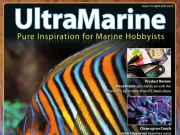 UltraMarine Magazine #111: Luce, Coralli e Avventure nel Blu