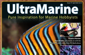 UltraMarine Magazine #111: Luce, Coralli e Avventure nel Blu