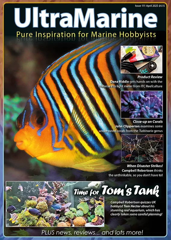 UltraMarine Magazine #111: Recensioni, Acquari Spettacolari e Segreti del Reef