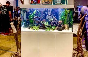 Amtra Alux ad AquariaItalia 2025: sostenibilità e design in mostra