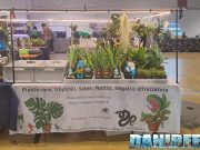 Lo stand Slavazza tra piante e Betta ad AcquariaItalia 2025