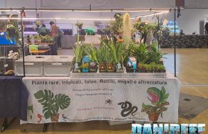 Lo stand Slavazza tra piante e Betta ad AcquariaItalia 2025