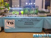 Lo stand TG Endler ad Acquaria Italia 2025