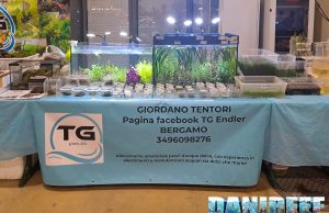 Lo stand TG Endler ad Acquaria Italia 2025