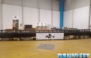 VL Welse ad AcquariaItalia 2025: loricaridi, ciclidi e pesci da sogno