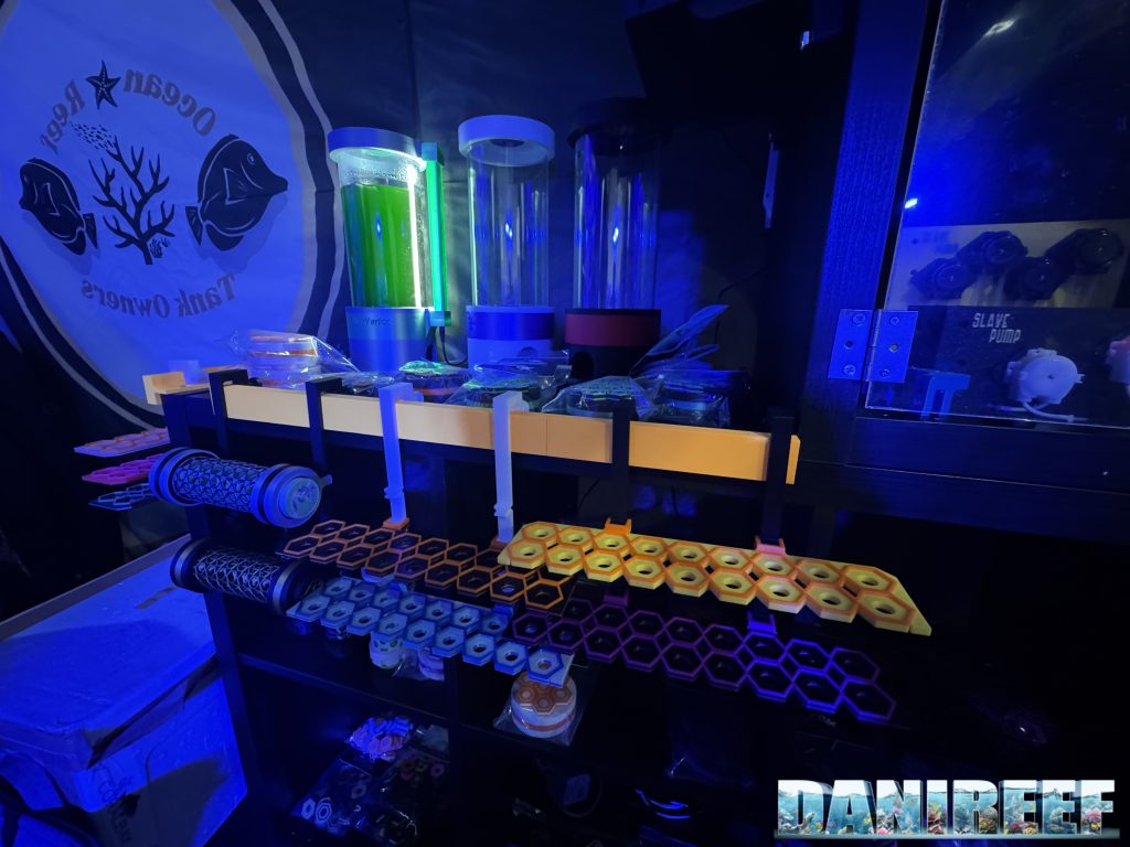 Reefstars con Ocean Reef Tank Owner stand AcquariaItalia