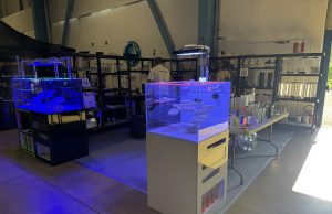 Le soluzioni innovative e gli acquari di ReefTek ad AcquariaItalia