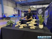 Reefest ad AcquariaItalia 2025: non solo coralli ma rocciate spettacolari con MarcoRocks