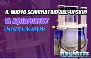 Schiumatoio All-in Skim: rivoluzione tecnologica per ogni acquario Schiumatoio All-in Skim