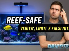 Reef-safe: verità , limiti e falsi miti per l’acquario marino Reef safe