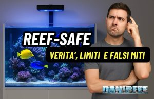 Reef-safe: verità, limiti e falsi miti per l’acquario marino Reef safe