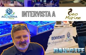 Coralli, pesci e design: l’eccellenza di GeoMarine ad AcquariaItalia Geomarine