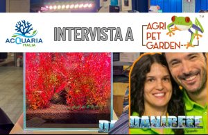 Agri Pet Garden stupisce ad AquariaItalia 2025: ADA, piante rare e una sorpresa dal Giappone Acquariaitalia2025 Agri Pet Garden
