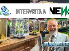 Newa ad AquariaItalia 2025: innovazione e design per acquariofili Acquariaitalia2025 Newa