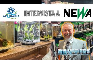 Newa ad AquariaItalia 2025: innovazione e design per acquariofili Acquariaitalia2025 Newa