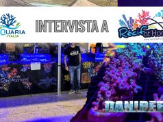 Coralli etici e spettacolari: il trionfo di RecifAtHome ad AcquariaItalia 2025 Acquariaitalia2025 Recif At Home