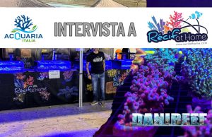 Coralli etici e spettacolari: il trionfo di RecifAtHome ad AcquariaItalia 2025 Acquariaitalia2025 Recif At Home