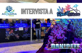 Coralli etici e spettacolari: il trionfo di RecifAtHome ad AcquariaItalia 2025 Acquariaitalia2025 Recif At Home