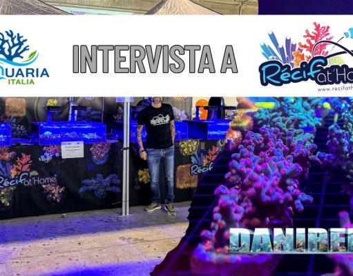 Coralli etici e spettacolari: il trionfo di RecifAtHome ad AcquariaItalia 2025 Acquariaitalia2025 Recif At Home