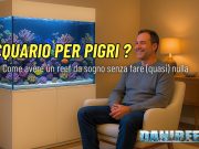 Acquario per pigri: come avere un reef da sogno senza fare (quasi) nulla