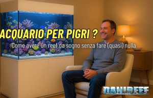 Affidare il reef a un professionista: sogno, realtà… e quanto costa davvero? Acquario per pigri: come avere un reef da sogno senza fare (quasi) nulla