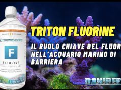 Triton Fluorine: la chiave per una chimica fine nei coralli SPS TRITON FLUORINE