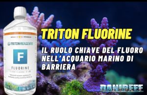 Triton Fluorine: la chiave per una chimica fine nei coralli SPS TRITON FLUORINE