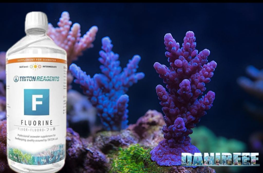 Fluorine: il ruolo chiave del fluoro nell’acquario marino secondo Triton