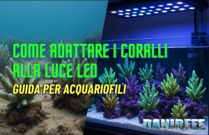 Adattare i coralli alla luce LED: la guida completa Adattare i coralli alla luce LED