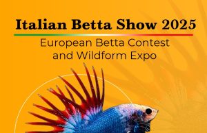 Italian Betta Show 2025: il concorso europeo torna a La Mangrovia