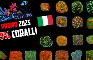 RecifAtHome lancia una nuova promo: 25% di sconto sui coralli