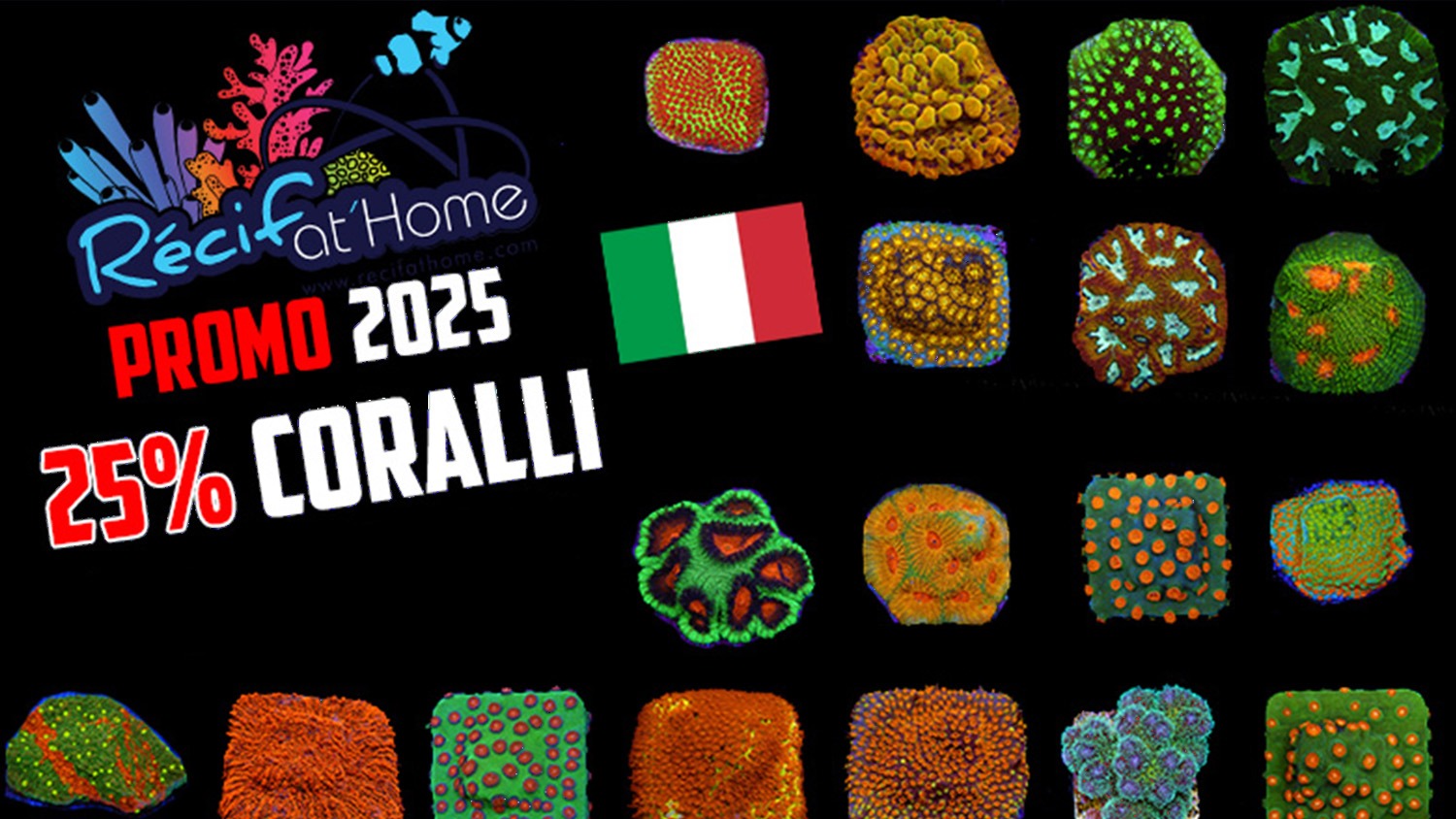 RecifAtHome lancia una nuova promo: 25% di sconto sui coralli