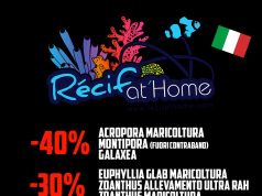 RecifAtHome lancia una nuova promo spaziale sui coralli