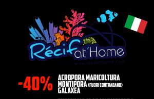 RecifAtHome lancia una nuova promo spaziale sui coralli