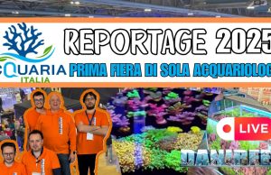 AcquariaItalia 2025: Italy’s First Aquarium-Only Expo – A Resounding Success