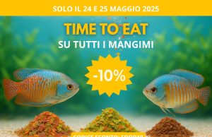 Time to Eat -10% su tutti i mangimi per il weekend su AquariumLine