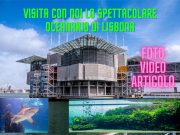Oceanario di Lisbona: tra squali, coralli e Florestas Submersas